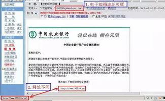 十个最新爆料网站,十大最新爆料网站深度解析  第1张