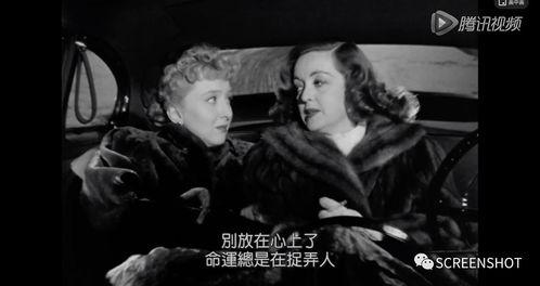 迷失羔羊神马在线观看,在线揭秘神秘之旅